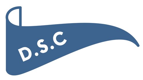 DSC-Logo.jpg